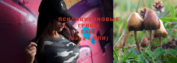 мет Няндома