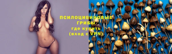 ПСИЛОЦИБИНОВЫЕ ГРИБЫ Нязепетровск