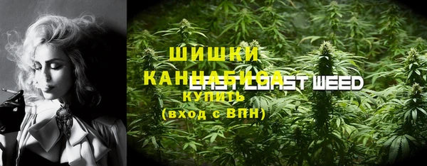 мет Няндома