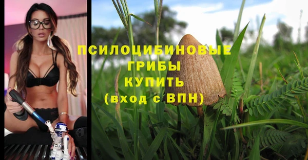 мет Няндома