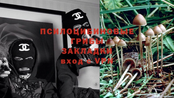 кокс Нягань