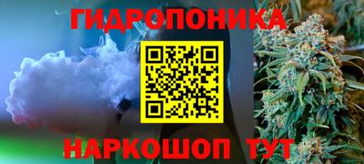 прущие грибы Будённовск