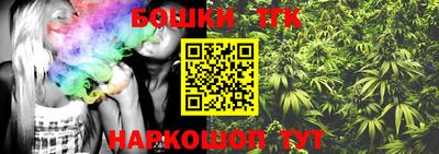 прущие грибы Будённовск
