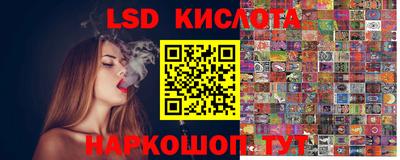 прущие грибы Будённовск