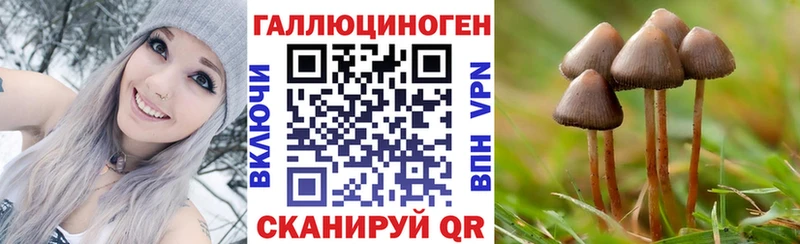 магазин продажи   Шарыпово  Псилоцибиновые грибы мицелий 