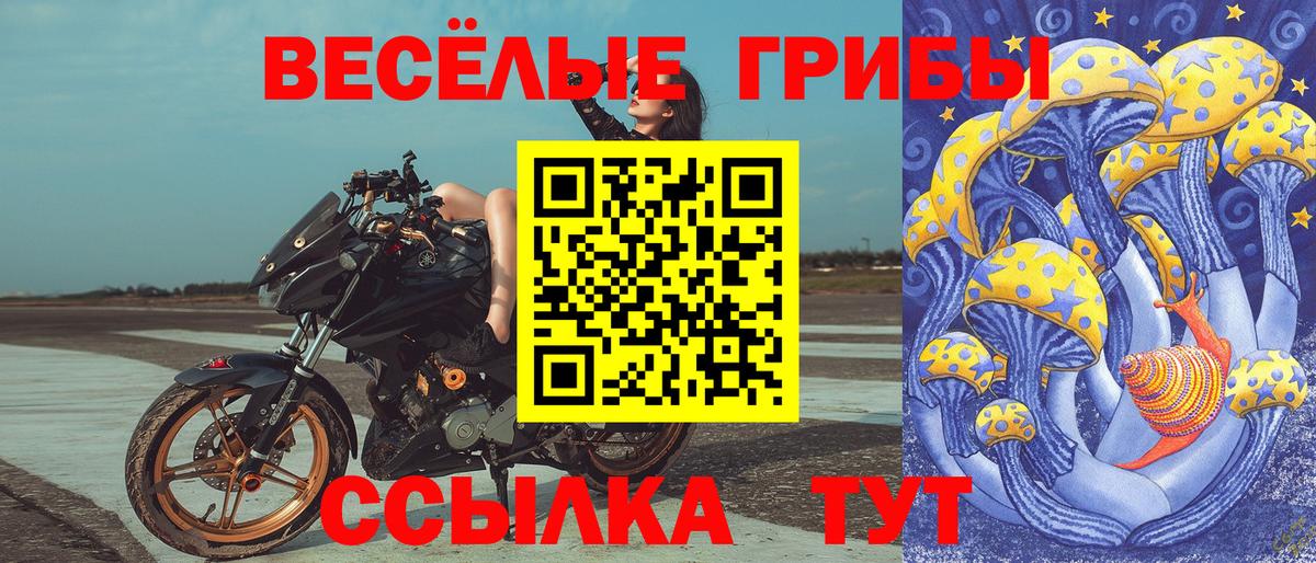 Галлюциногенные грибы Psilocybe  Псилоцибиновые грибы Psilocybe  Шарыпово 