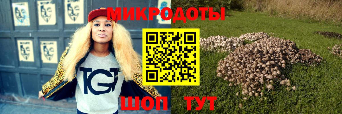 Шарыпово  купить   Вход с VPN  Псилоцибиновые грибы Psilocybe 