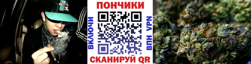 купить наркотики сайты  Шарыпово  мориарти состав  Бошки марихуана Bruce Banner 